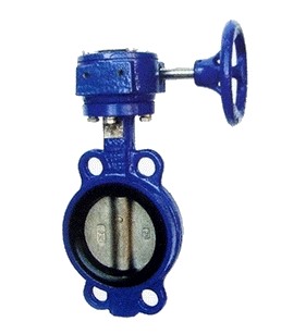 對夾蝸輪蝶閥（fá）