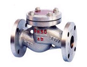 天（tiān）然氣升（shēng）降式止回閥（fá）