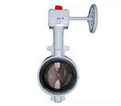 蝸輪防結露蝶閥