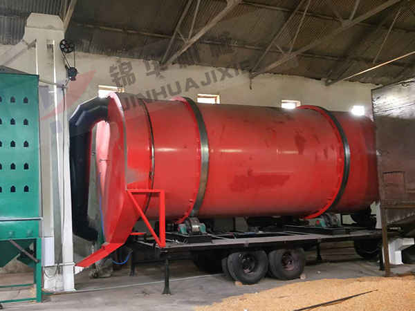 伊犁大型水稻烘幹機械設備現場 